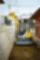 Wacker Neuson EZ50 Wacker Neuson EZ50