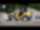 Esilaadur Wacker Neuson WL250 Esilaadur Wacker Neuson WL250